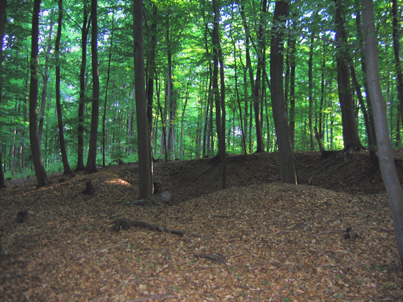 n_18_inf-schilderwald-überall.jpg